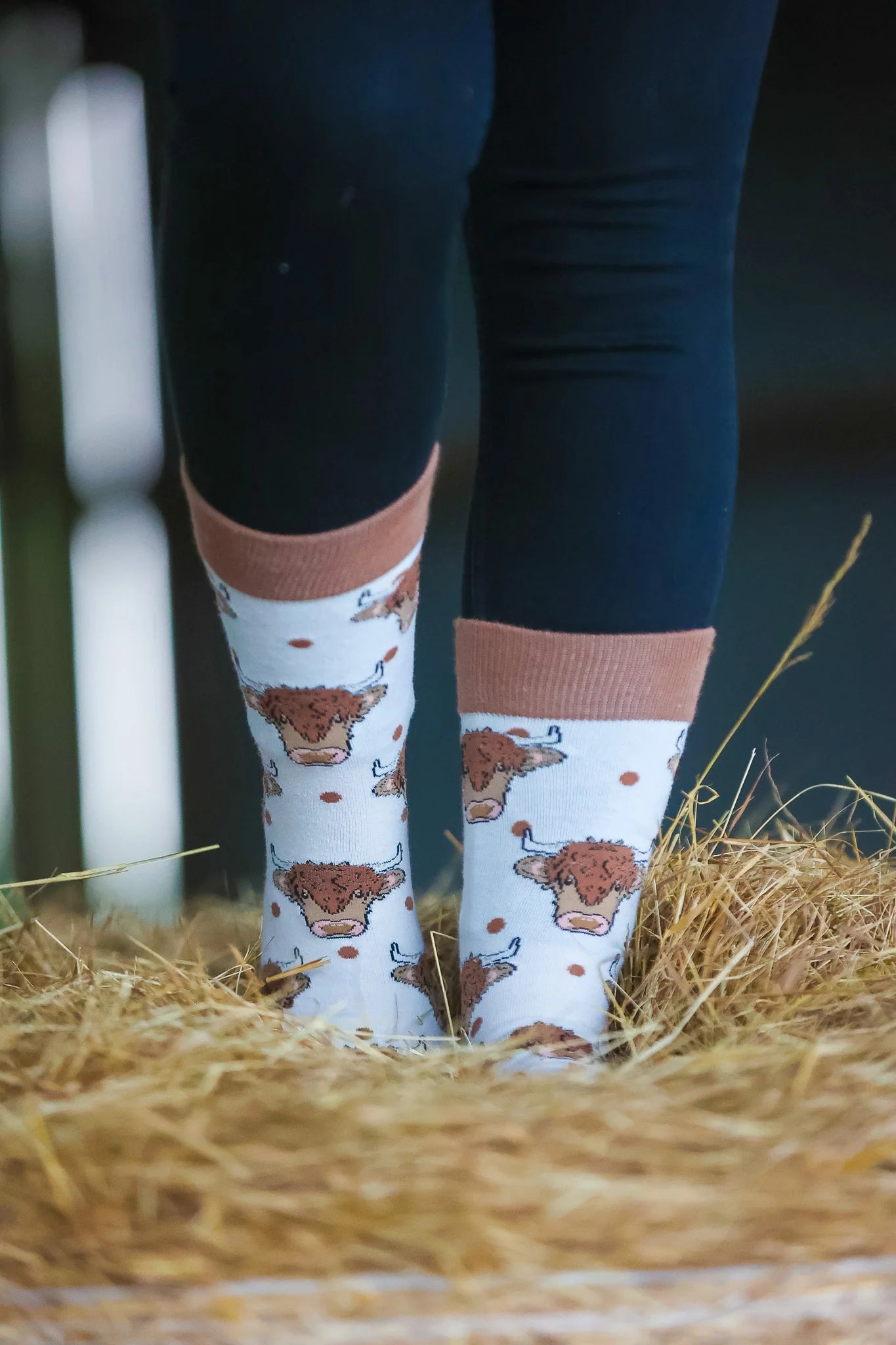 Highland Cow Crew Socks