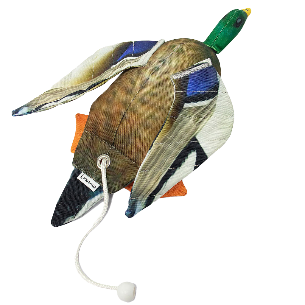 The Original Clone®️ Dead Bird Dummy – Mallard