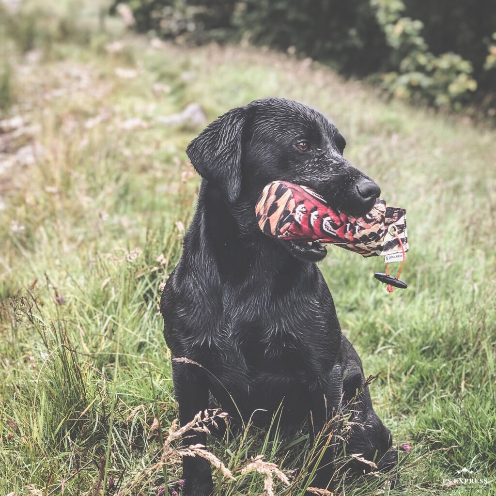 The Original Clone®️ 1lb Pheasant Dummy