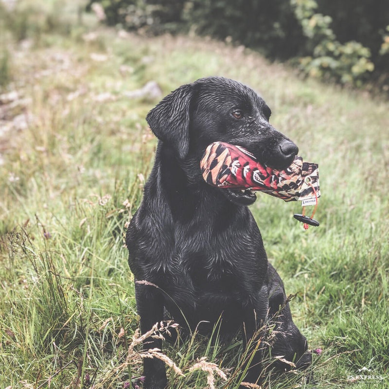 The Original Clone®️ 1lb Pheasant Dummy - WOODLAND STORM