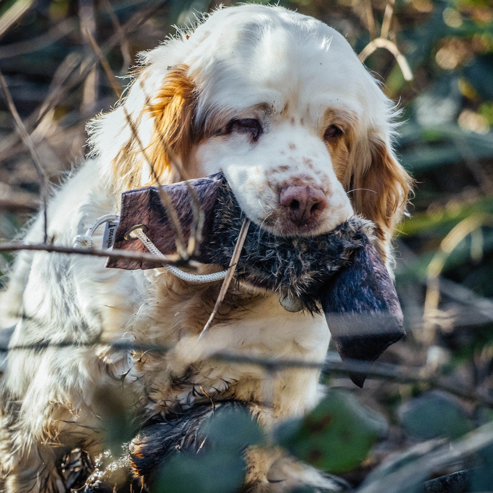 The Original Clone®️ Rabbit Dummy - WOODLAND STORM