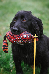 Flight Cock Pheasant Dummy Range