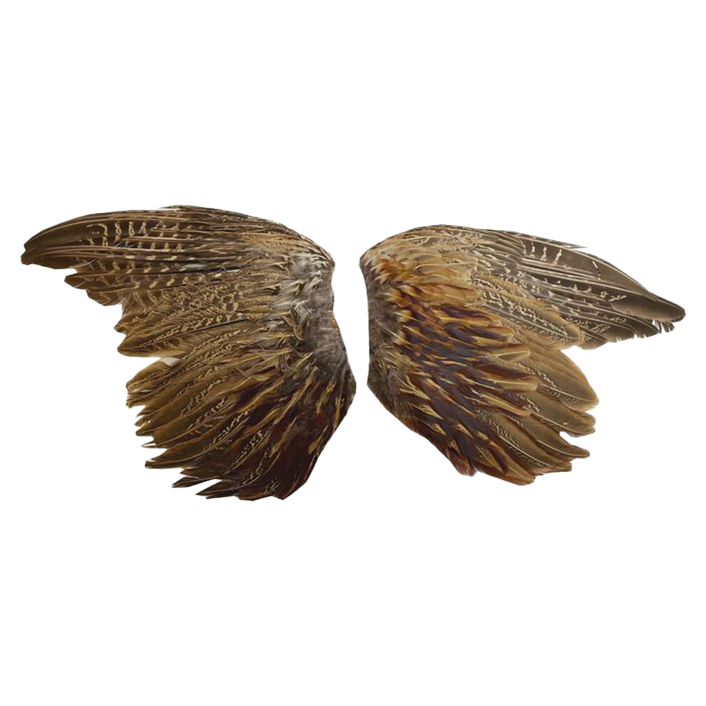 Pheasant Wings - WOODLAND STORM